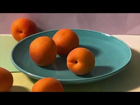 Видео: Живопись маслом с Сарой Седвик: смешение цветов и границы