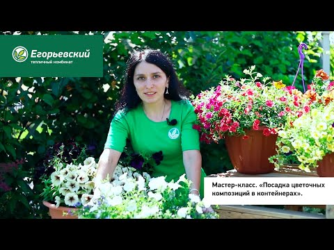 Видео: Посадка цветочных композиций в контейнерах. Мастер-класс на дне открытых дверей 2020.