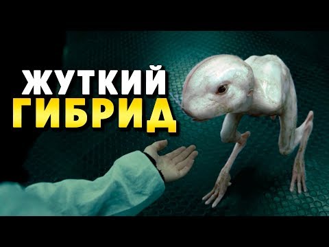 Видео: КРИПОВАЯ ХРЕНАТЕНЬ: ХИМЕРА