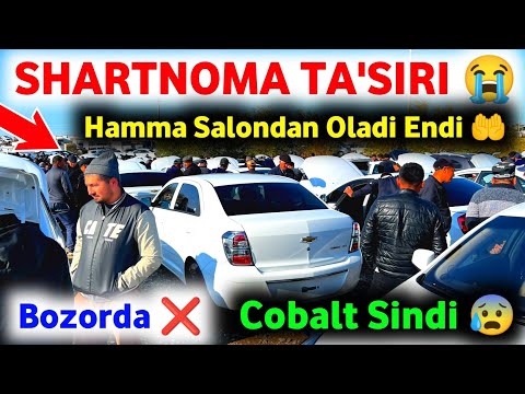Видео: 6 ноября 2025 г.🤲 SHARTNOMA BERILDI COBALTGA 🔥 КОБАЛЬТ ЭНДИ АРЗОН 🤝 CHIROQCHI BOZORI NARXLARI 2025 ✅