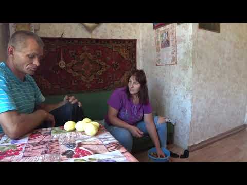 Видео: Жизнь белого дома изнутри...