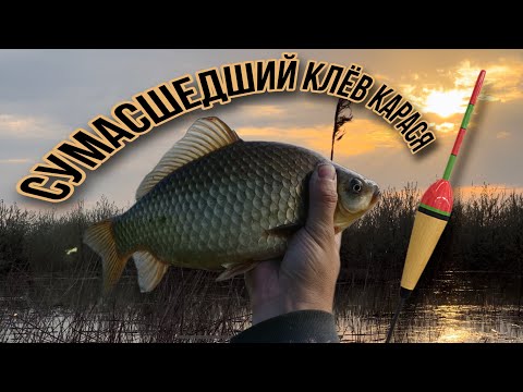 Видео: Рыбалка на махалку или весенний клёв.