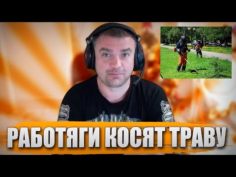 Видео: РАБОТЯГИ КОСЯТ ТРАВУ НА УЧАСТКЕ!