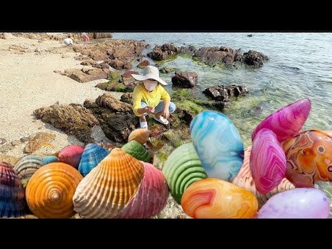 Видео: Полное руководство по жемчужным устрицам: от пляжа до кухни.