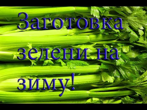 Видео: СЕЛЬДЕРЕЙ сушим дома! Посмотри, а вдруг пригодиться! #Рекомендация#