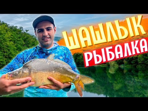 Видео: Поймали и приготовили ШАШЛЫК из КАРПА. Как поймать МНОГО РЫБЫ. Лучший маринад для РЫБЫ на мангале!!!