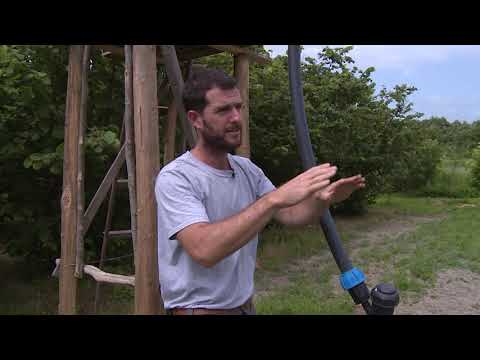 Видео: "Школа фермера": капельное орошение