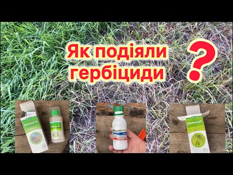 Видео: Висновки обробки #гербіцидами. Огляд оброблених ділянок. #антибурʼян#антипирій#ураган
