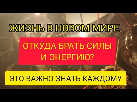 Видео: ОТКУДА БРАТЬ СИЛЫ И ЭНЕРГИЮ? ЖИЗНЬ В НОВОМ МИРЕ - КЛЮЧИ К СЧАСТЬЮ