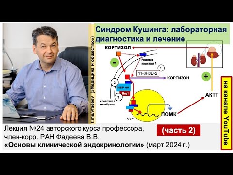 Видео: Синдром Кушинга (часть 2): лабораторная диагностика и лечение