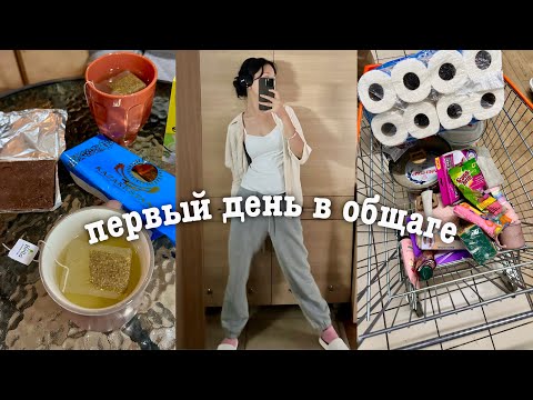 Видео: первый день в общежитие заграницей🍳