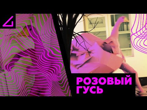 Видео: AContrari – РОЗОВЫЙ ГУСЬ