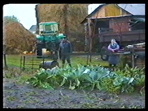 Видео: 1997р. Спогади з минулого. Збуж.