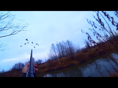 Видео: ВСЕ ЛУЧШИЕ МОМЕНТЫ СЕЗОНА. ОХОТА НА УТКУ 2020