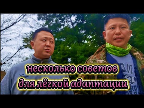 Видео: Делимся секретами. Как легко обосноваться в Корее? #жизньвюжнойкорее #работа #работавкорее