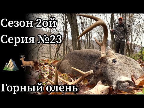 Видео: Охота с луком на оленя в штате Мэриленд