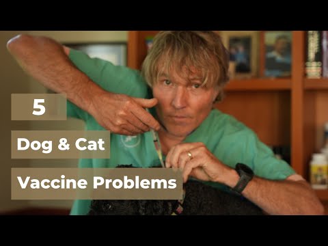 Видео: 5 проблем с вакцинами для собак и кошек