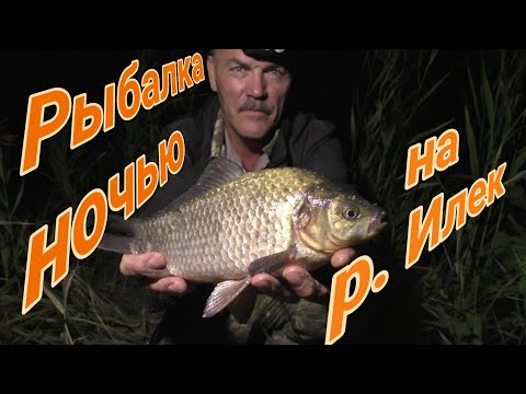 Видео: Рыбалка ночью ужин у костра. Ловля на донки. Клюёт редко но крупная Поймал 5 видов рыб г Актобе2022г