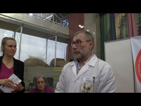 Видео: Кормление кур несушек. Вахрамеев А.Б.