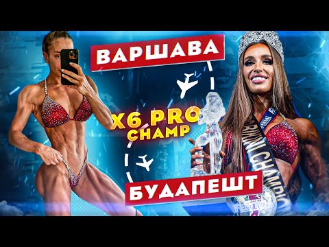 Видео: 12Г СОЛИ?!  НОВЫЕ СХЕМЫ ПОДВОДОК К СЦЕНЕ РАБОТАЮТ?