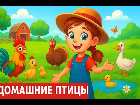 Видео: ФЕРМЕРСКИЙ УРОК: ДОМАШНИЕ ПТИЦЫ