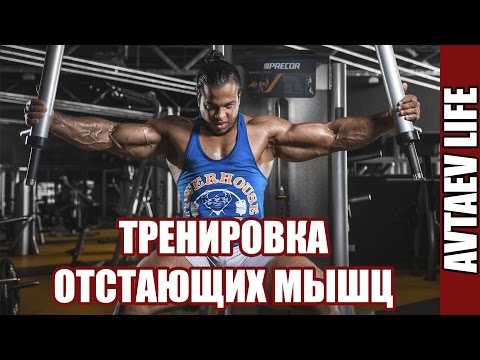 Видео: Тренировка отстающих мышц с точки зрения биомеханики. Алексей Автаев [Avtaev LIFE]
