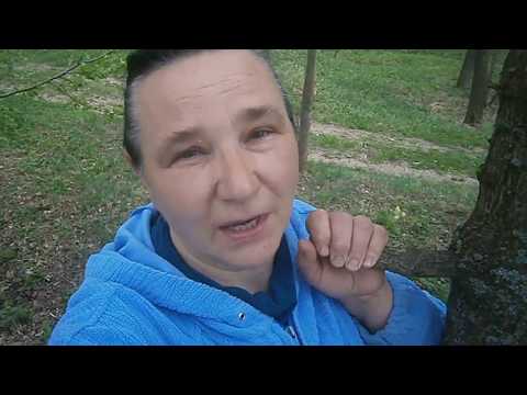 Видео: Вопрос о кастрации  козлов и баранов