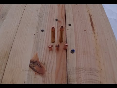 Видео: CZ 455* 22 WMR* пробитие дерево*