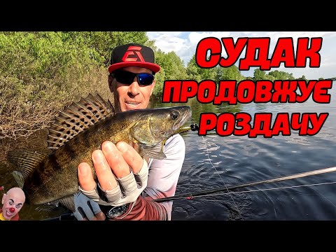 Видео: ✅ РОЗДАЧА СУДАКА ✅