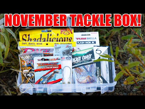 Видео: Я собрал ЛУЧШИЙ ящик для рыболовных снастей на ноябрь!