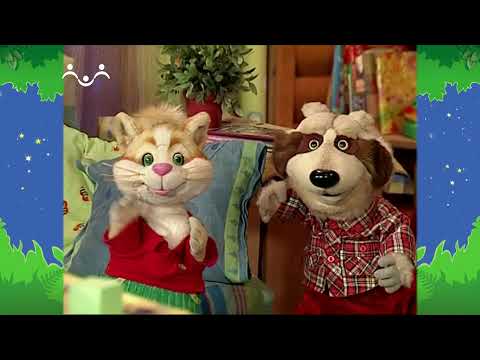 Видео: Вечер в Шишкином Лесу. Быт. Как разжалобить Енота