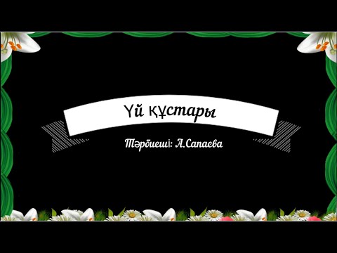 Видео: Үй құстары балабақша