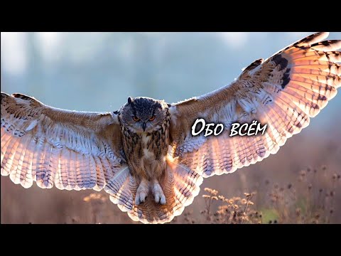 Видео: Проверка радиостанции на дальность Я офигел 😳