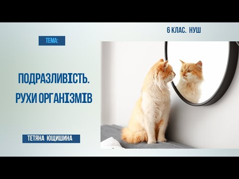 Видео: Урок 29. Подразливість. Рухи організмів. 6 клас. НУШ.