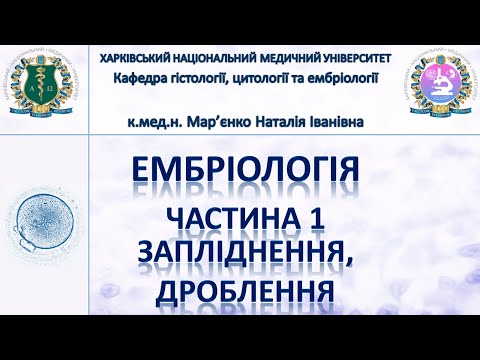 Видео: Ембріологія людини 1. Гамети, запліднення, дроблення, імплантація