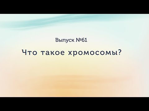 Видео: Что такое хромосомы?