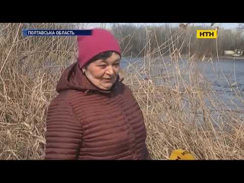 Видео: У Полтаві жінка заприятелювала з річковою твариною, що живе у Ворсклі