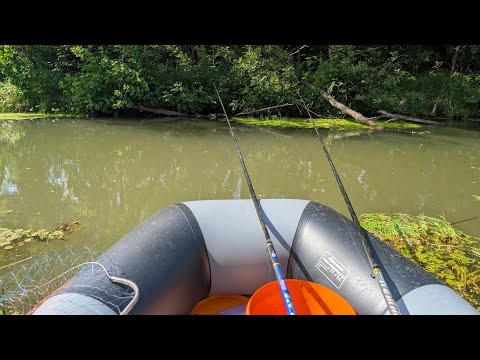Видео: ЛОВЛЮ РЫБУ С ЛОДКИ! *рыбалка на малой реке*