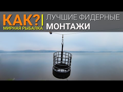 Видео: КАК? Лучшие фидерные монтажи. Инлайн или патерностер?