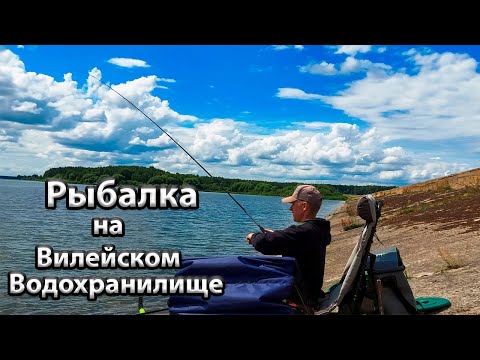 Видео: Ловля фидером на Вилейском водохранилище. Рыбалка на Вилейке.