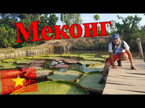 Видео: Вьетнам, дельта реки Меконг, остров Кон Сан, Рыбная ферма, жильё в хижине | Мотопутешествие №19