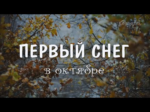 Видео: Музыка природы - первый снег в октябре