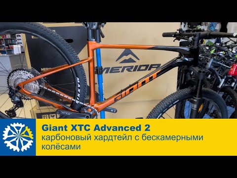 Видео: Giant XTC Advanced 2 (2022), гоночный хардтейл с бескамерными колёсами