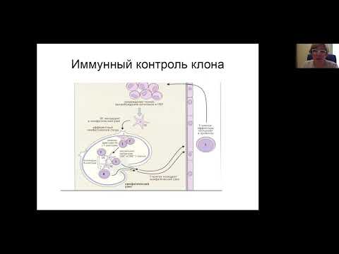 Видео: Предопухолевые состояния в онкогематологии, которые способствуют возникновению злокачественных