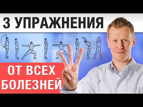 Видео: Всего 10 минут в день и ваша спина здорова! / УПРАЖНЕНИЯ ОТ ВСЕХ БОЛЕЗНЕЙ