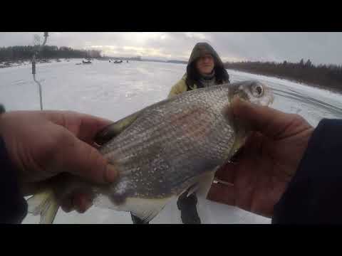 Видео: Весело провели время на рыбалке.