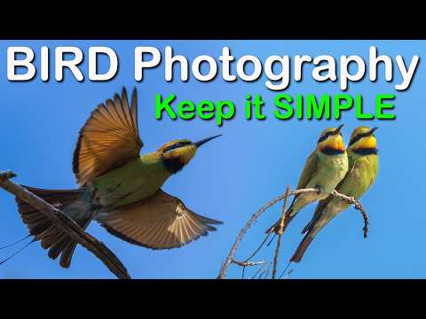 Видео: Фотография птиц — от камеры до редактирования