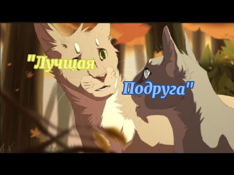 Видео: Клип°Лучшая Подруга°-Коты Воители-|Дроздовик и Синигривка(Синяя Звезда)|√Black Cat√