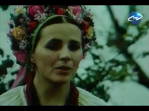 Видео: Ніна Матвієнко - Ти моя пісне (фільм-концерт)