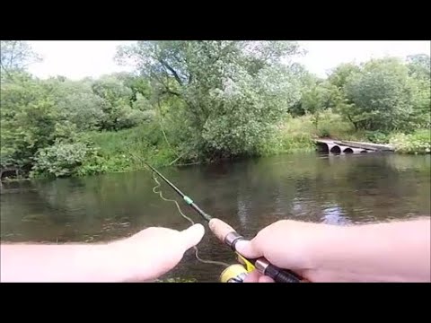 Видео: Рыбалка на реке ЗУША .
